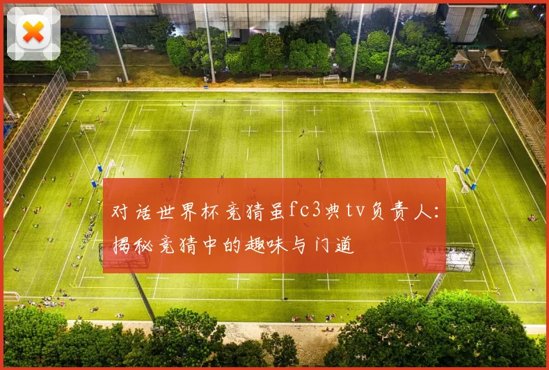 对话世界杯竞猜虽fc3典tv负责人：揭秘竞猜中的趣味与门道