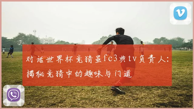 对话世界杯竞猜虽fc3典tv负责人：揭秘竞猜中的趣味与门道