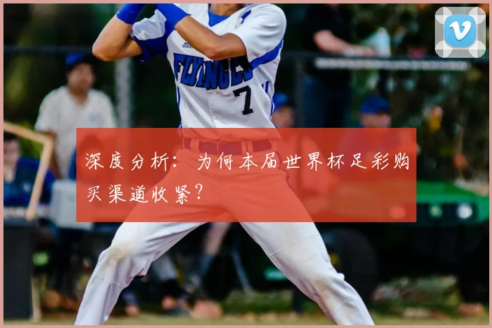 深度分析：为何本届世界杯足彩购买渠道收紧？