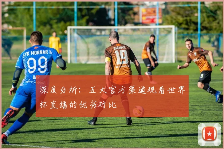 深度分析：五大官方渠道观看世界杯直播的优劣对比