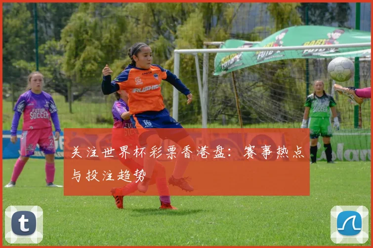 关注世界杯彩票香港盘：赛事热点与投注趋势