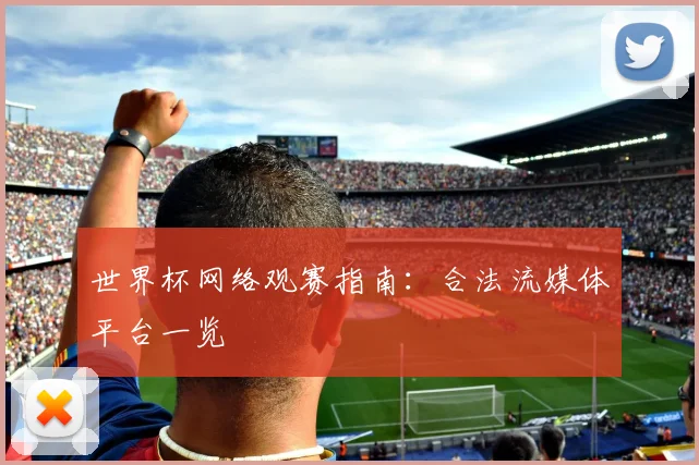 世界杯网络观赛指南：合法流媒体平台一览