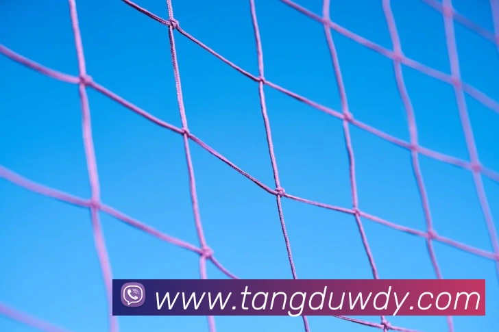 欧宝官网手机版APP 封面图